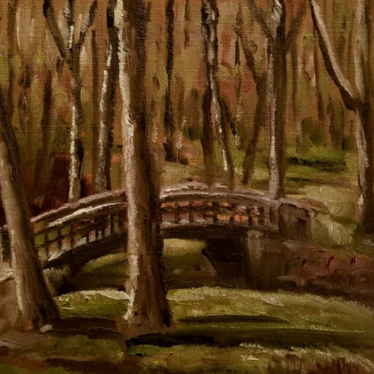 A Stroll Through the Woods